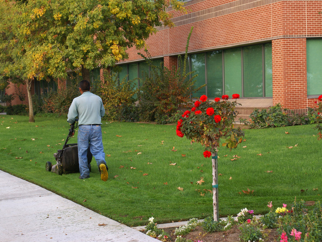 commercial landscaping